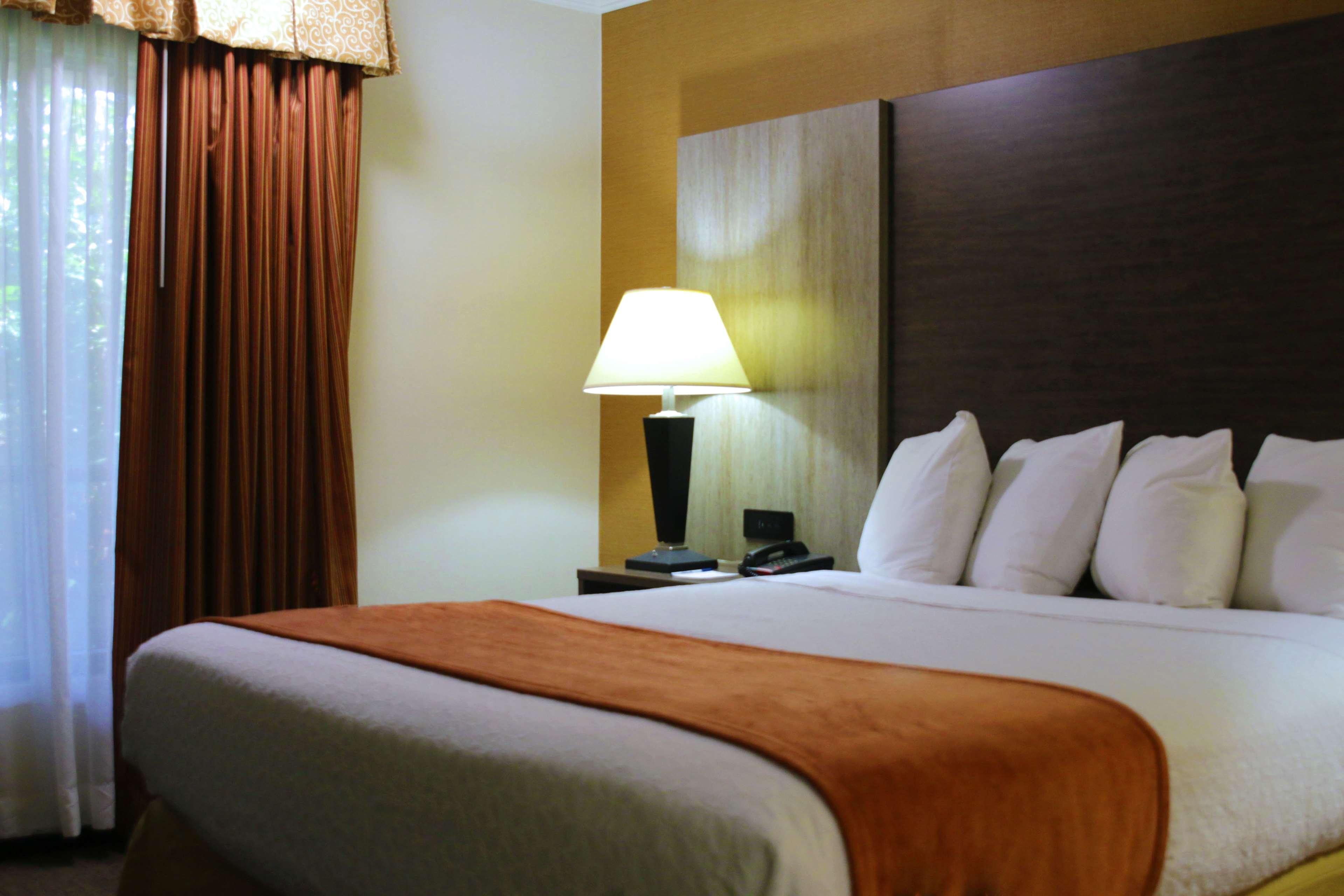 Best Western Galleria Inn & Suites Cheektowaga Buitenkant foto